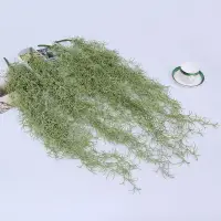在飛比找樂天市場購物網優惠-仿真植物空氣草藤條把束裝飾塑料綠植居家壁掛婚慶擺件葉子