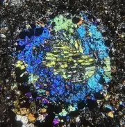 Meteorite NWA 15799 nice CK4 Carbonaceous STUNNING Chondrules - Thin Section