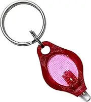 Keychain Light, UV Light Keychain, Portable Detector Mini Popular Lighting Lamp for Child Schoolbag Backpack Home Detections