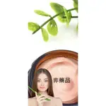 【原廠授權】 親膚乳霜 萬用霜 天賦異稟 植物乳膏 草本 精華 叮咬 涼爽 乾燥 皮膚 蘆薈精華