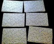 COUNTRY COTTAGE SET OF 6 BEAUTIFUL BRIGHT YELLOW LEMONS QUILTED FABRIC PLACEMATS
