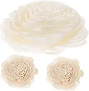 Levemolo Handmade Aromatherapy Plant Home Decor Set Dried Flower Diffuser Sticks