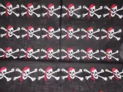 12 NEW PIRATE BANDANAS SKULL AND CROSSBONES JOLLY ROGER HANDKERCHIEF PARTY FAVOR