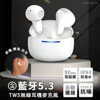 在飛比找momo購物網優惠-【aibo】BTDX 真無線TWS 智能觸控藍牙V5.3耳機