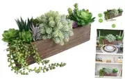 15" Assorted Artificial Succulent Plant Arrangements in Rectangular Wooden