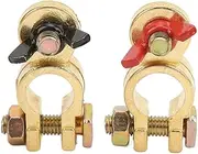 Car Battery Terminal Made Of Copper With Iron Wing Nut Iron Screw And Brass Body To High Temperature And For Quick Battery Release And Connection Suitable