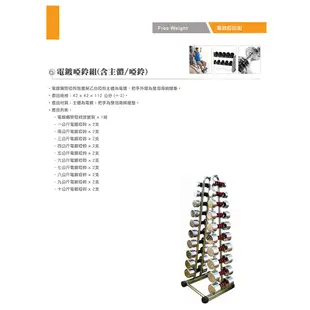 TPOWER 8KG電鍍啞鈴《單支售》啞鈴 電鍍啞鈴 電鍍