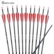 Archery Pure Carbon Arrows Hunting Replaceable Arrowhead Compound Recurve Bow
