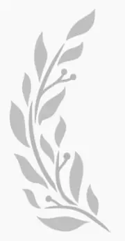 5"x10" Clear Plastic Stencil - Leaf Sprig (SA1204)