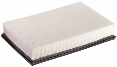 AIR FILTER 2004-2006 VOLVO S80 - 5 cyl 2.5L L.P Turbo 20V (for: Volvo)