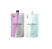 NEW SHISEIDO Crystallizing Hair Straightener H 1+2 400g+400g