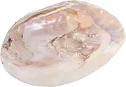 ERINGOGO Shell Jewelry Dish Tray Multi-function Organizer Key Holder Stylish Home Decor Accessory