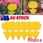 Fruit Fly Traps, Pack 50 Yellow Double-sided Fungus Gnat Sticky Catcher new