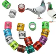 500 pcs 8mm pigeon leg rings identify bands 2024, 10 MULTICOLOR, Anillos Paloma