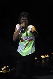 Mick Jagger of The Rolling Stones Performing at The Madison Square Garden in New York City Photo Print (24 x 30)