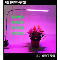 在飛比找蝦皮購物優惠-USB LED 植物燈 植物生長燈 補光燈 多肉燈 種菜燈 