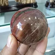 GatherTOOL 1Pc Red Rose Petrified Wood Sphere Dia 60mm Agate Quartz Crystal Ball Stone for Home Office Decor