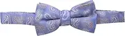 Isaac Mizrahi Big Boys' Paisley Bow Tie
