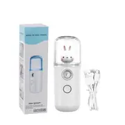 Mini Face Mist Sprayer Humidifier