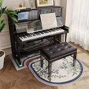 Upright Pianos Floor Mats, Piano Noise Reduct Mat Acoustic/Noise Reduction/Shock Absorption/Thermal Insulation Carpet, Sound-Absorbing Noise-reducing Piano Stool Mat(Color:g)
