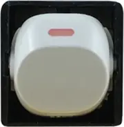 Connected Switchgear 32A Double Pole Switch Mechanism