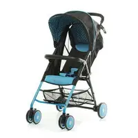 在飛比找樂天市場購物網優惠-【 ZOE 】 T11 URBAN 嬰幼兒手推車-湖水藍｜品