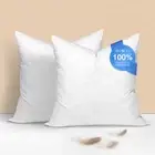 20x20 Euro Pillow Inserts Set of 2 - Down Feather Throw Pillows Cushions for ...