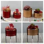 Cylinder Succulents Flowerpot Multicolor Box Planter Plants Container