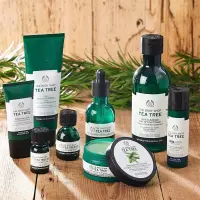 在飛比找蝦皮購物優惠-英國🇬🇧The Body Shop-茶樹淨膚系列 痘痘筆/精