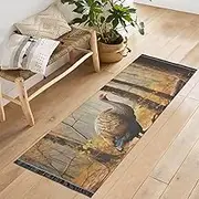 QGBYMX Washable Runner Rug Turkey Forest Autumn 2’ x 6’ Non Slip Kitchen Runner Rug for Hallways Entryway Patio Living Room Floor Carpet Runner- Soft Thin Mat for Family Pet