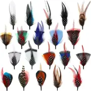 20 Pcs Hat Feathers, Assorted Feathers for Hats Colorful Real Feathers Accessor