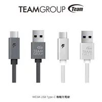 在飛比找蝦皮購物優惠-Team WC0A USB Type-C 傳輸充電線 編織線