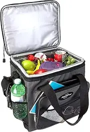 [Koolatron] 12V Electric Cool Bag, 13L, Thermoelectric Soft Cooler Bag, 12 Volt DC Connection, Foldable Storage, Plug in Iceless Portable Picnic Bag, for Work Travel Vehicle Car, Truck, Gray/Black