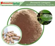 Capsule Of Pure Cebu Balsam Bark Kayu Rapet Parameria Laevigata Herb Natural