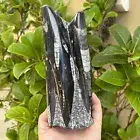 Orthoceras Fossil Sculpture "400 MILLION YEARS OLD" (WEIGHS 1.165 KILOS) (#4104)