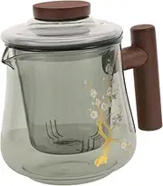 LAPYAPPE Glass Teapot with Infuser Borosilicate Kettle for Loose Leaf Tea Ergonomic Handle for Brewing Drinking Water Camping and Office Use