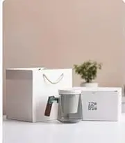 GUCTAY China tea cups office mugs for men Tea cup with lid and saucer Tea cup with infuser and lid gift set Tea cup with infuser and lid travel (Elegant white)
