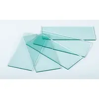 在飛比找蝦皮購物優惠-超值組 10入 透明 玻璃 鏡片 白玻璃 護目鏡用 手提式面