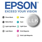 Epson T8509 Light Light Black 80ml Ink for P800