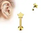 Piercing Ear Labret Screw Inner Star Golden