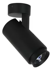Peninsula LED Adjustable Warm White Spot Light in Black