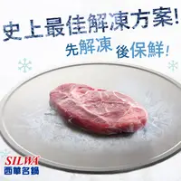 在飛比找PChome24h購物優惠-【西華SILWA】節能冰霸極速解凍+燒烤兩用盤