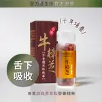 《聖力達生技》牛樟芝頂級椴木子實體（10年栽培）-舌下吸收精華 180粒裝｜超臨界CO₂萃取｜高三萜類 調整體質