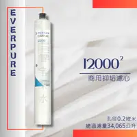 在飛比找蝦皮購物優惠-EVERPURE I20002 商用除菌抑垢濾心 (只可宅配