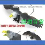 藍天百貨喔果園菜園嚇鳥驅鳥大號仿真老鷹模型塑膠仿真動物飛禽玩具兒童認知