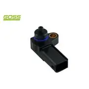 RAE MAP Sensor - MP171