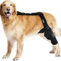 在飛比找蝦皮購物優惠-寵物 護具 狗 后腿受傷輔助帶狗 狗 護膝康復帶腿部關節受傷