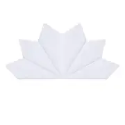 Women's 100% White Cotton Handkerchiefs with Wavy Edge for Embroidery and Tie...