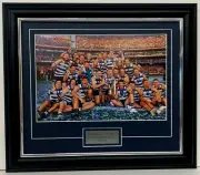 ✺Framed✺ 2022 GEELONG CATS AFL Premiers