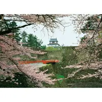在飛比找樂天市場購物網優惠-P2 - HM52-598 古城櫻花系列(2)拼圖520片